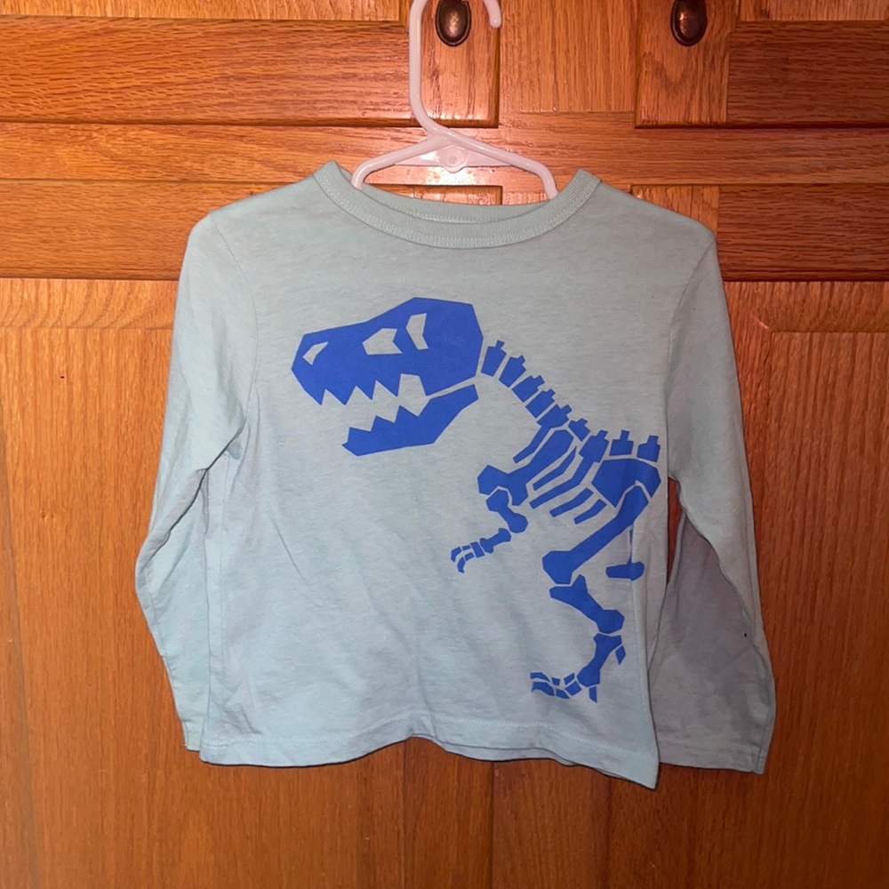The Children’s Place- Long Sleeve- 2T